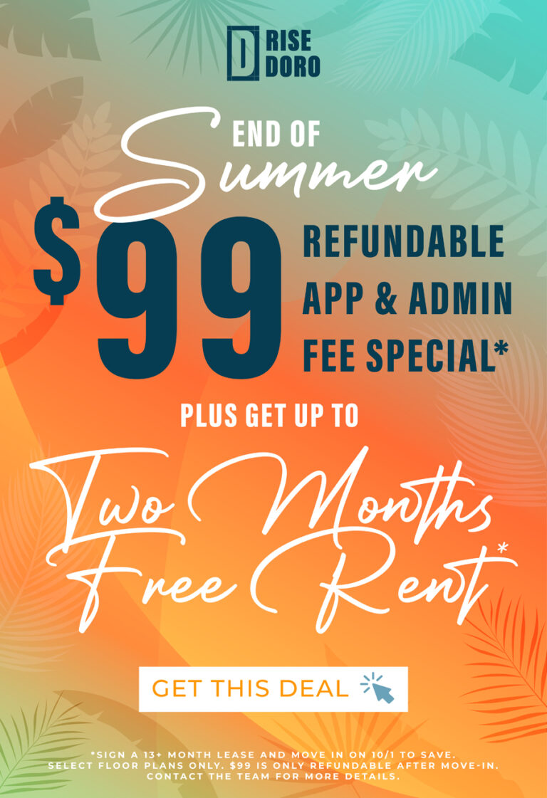 RISE Doro Brand New Apartments Community in Jacksonville